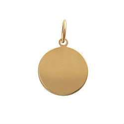Pendentif Homme Plaqué Or PHO2
