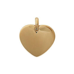 Pendentif Homme Plaqué Or PHO6